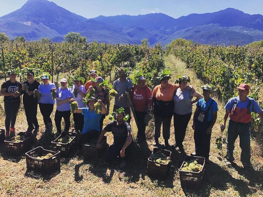tourists smiling happily on the camera at Aryriou winery vineyards